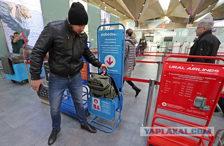 Уральские авиалинии проиграли суд по делу о выходках калибраторщика
