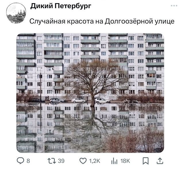 Забавные комментарии из социальных сетей (25.03.24)