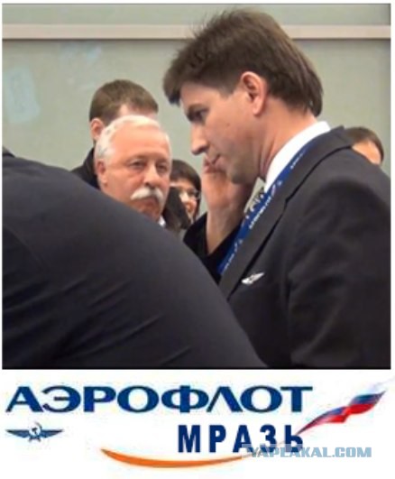 Нападение стюардессы Аэрофлота