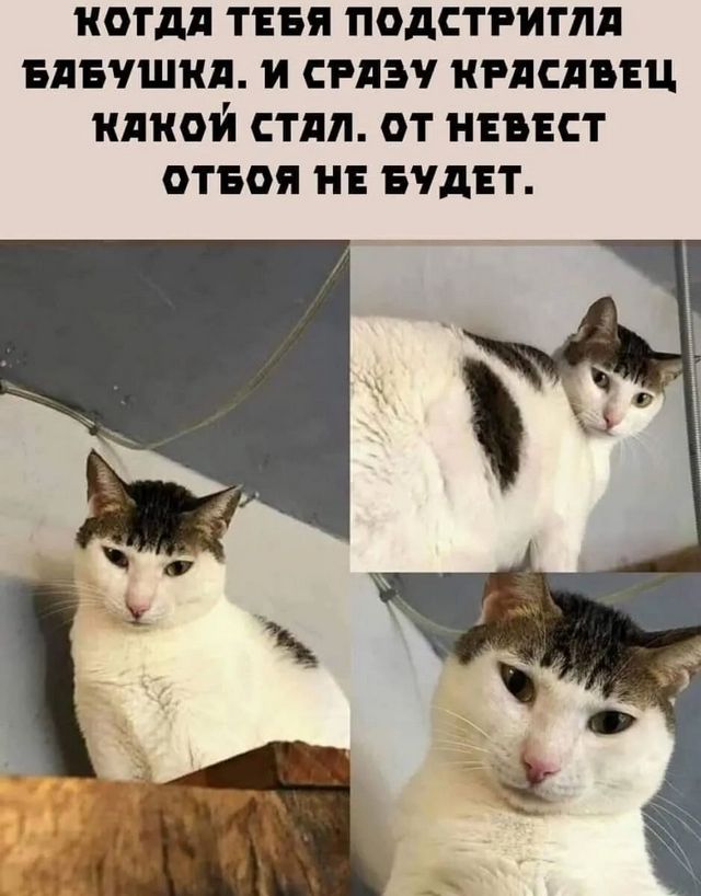 Завалялось тут случайно немного забавных картинок