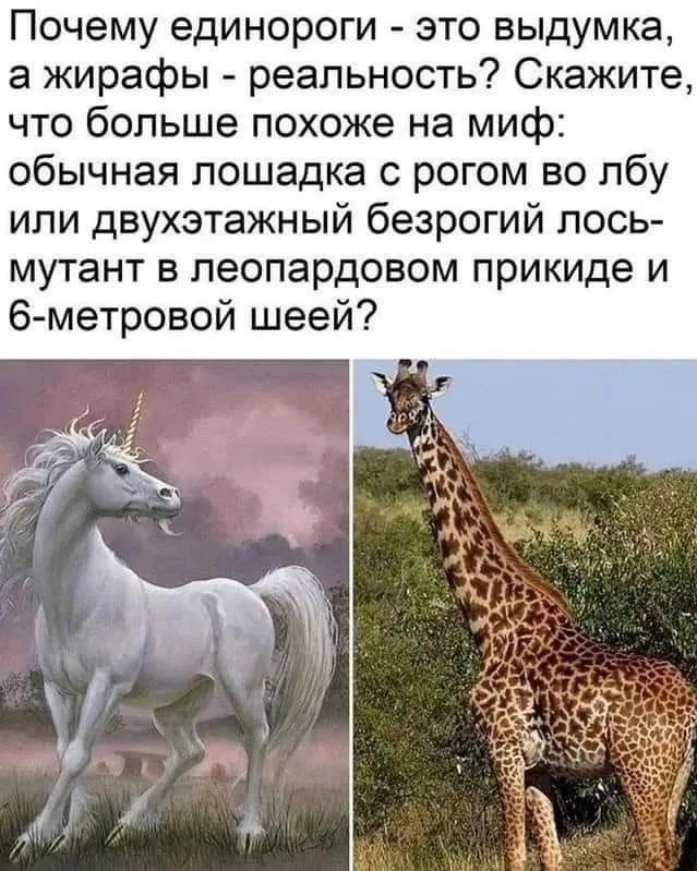 Так себе картинки 10.12.24