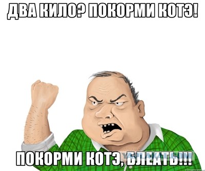 Не шутите с котом