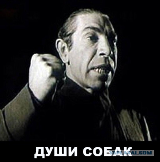 Зоошиза централизовано голосует против петиции 117415⁠⁠