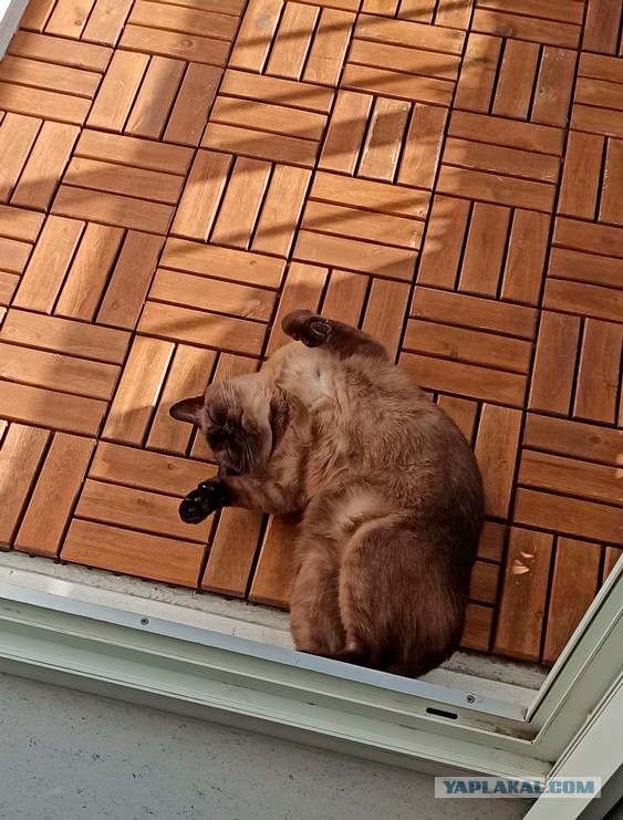 Его первый вторник