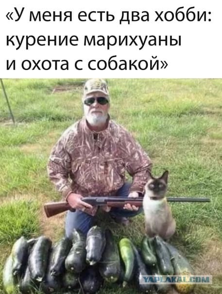 Москвичи продали две квартиры, чтобы открыть каннабис-ферму в Таиланде