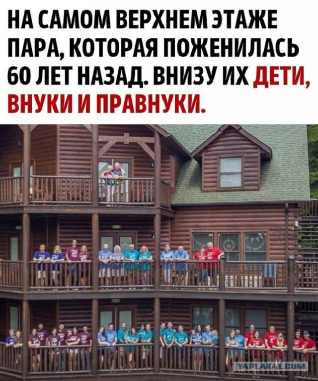 Так себе картинки 18.11.25