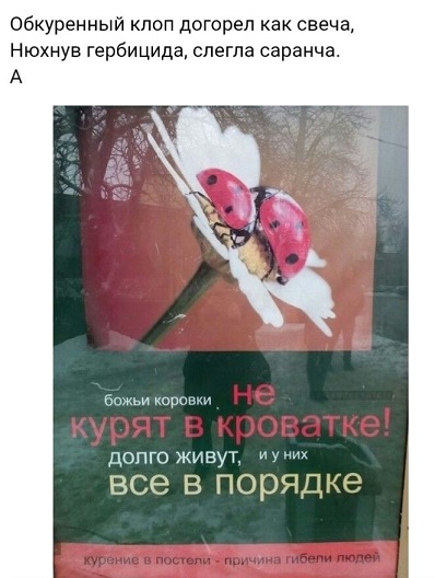 Когда не с кем выпить