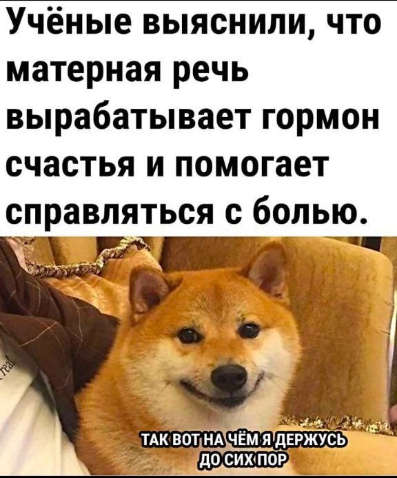 Так себе картинки 13.12.25