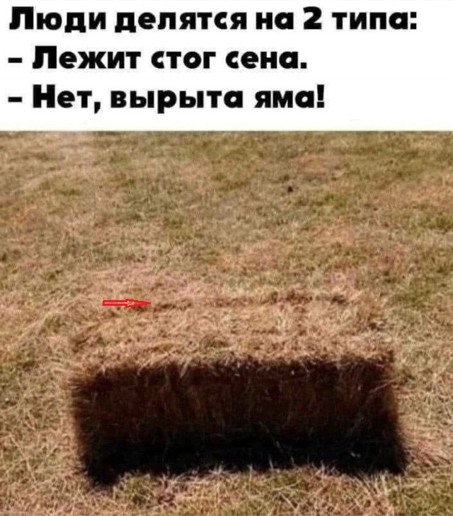 Веселое настроение в картинках 01.02.26