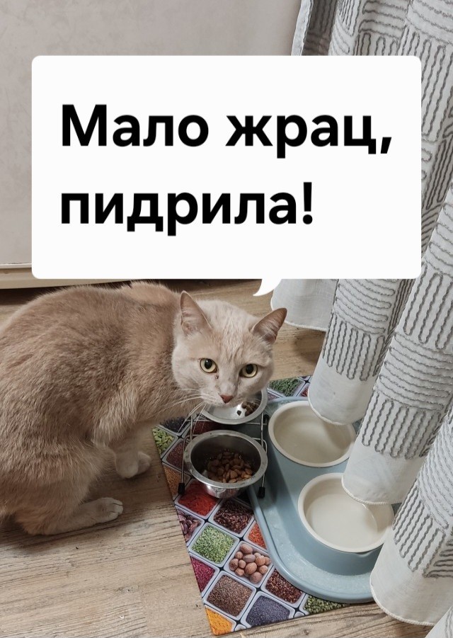 У кого