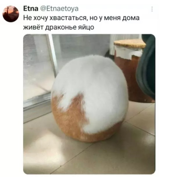 Картинки для деградации 240 (разной степени свежести)