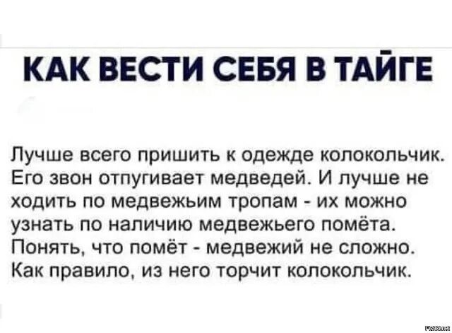 Что едят медведи в октябре?