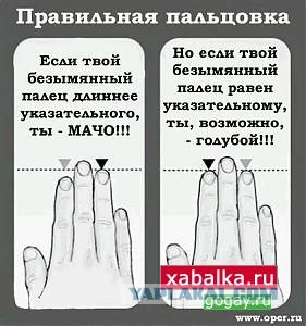 Gay Test