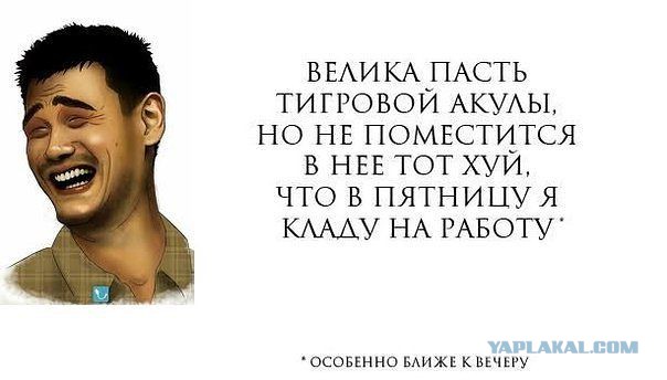 Лучшие  «аткрытки»года