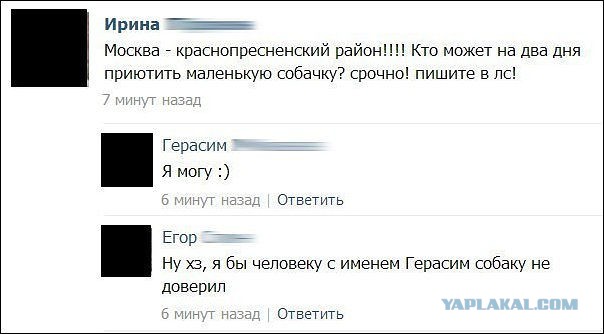 Смешные комментарии из социальных сетей