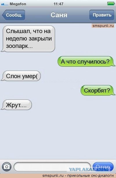 Смешные комментарии из социальных сетей