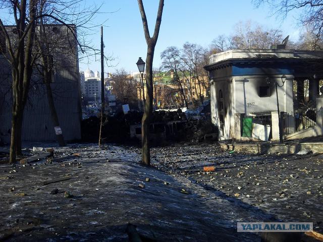 "Георгиевские " ленточки против флагов УПА