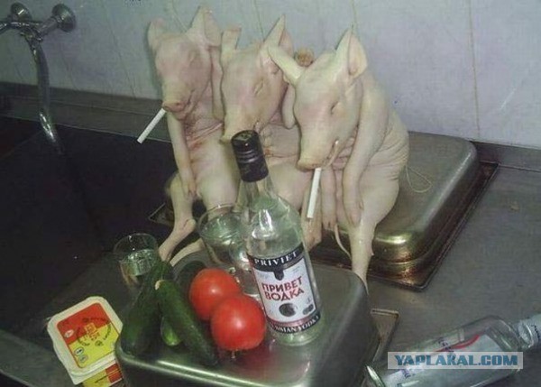 Тема для юмора