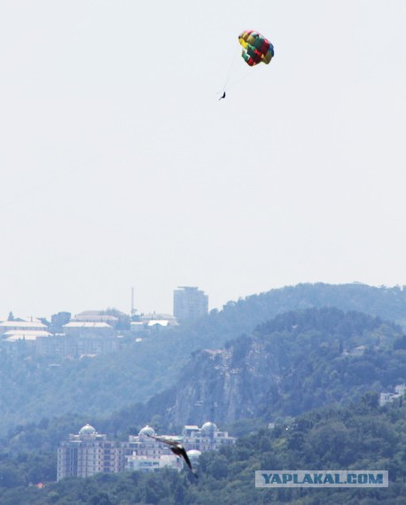 Дорога из Киева и из Москвы в Ялту.