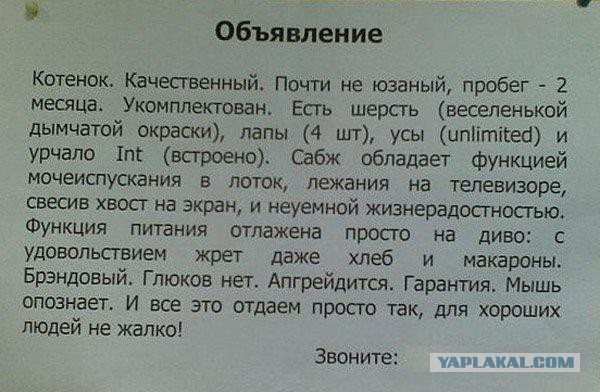 Надписи и объявления с просторов