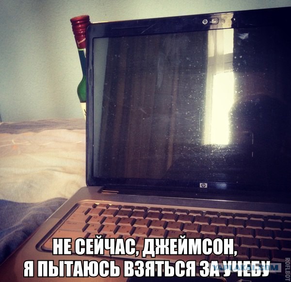 Веселые картинки