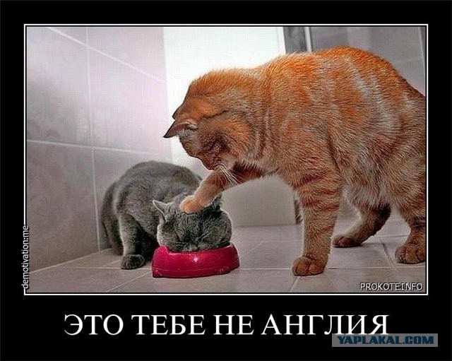 В населенных пунктах до 50 км/ч.