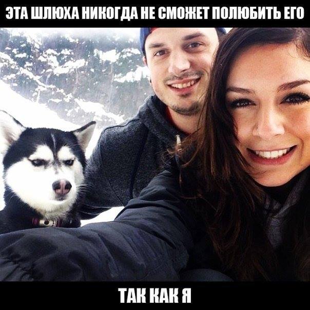 Немного картинок и юмора