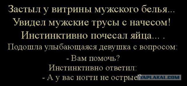 Немного картинок в пятницо.