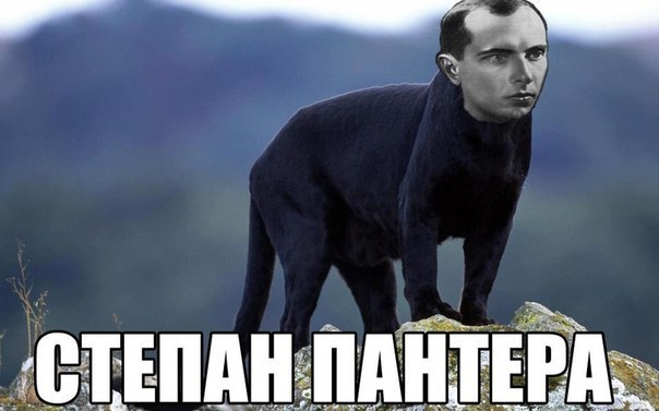 Пятничная подборка