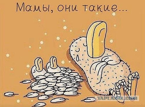 Жена удивила!