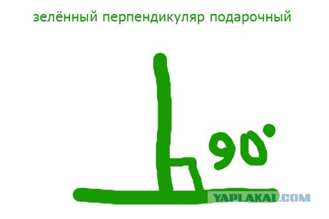 Коля в шоке
