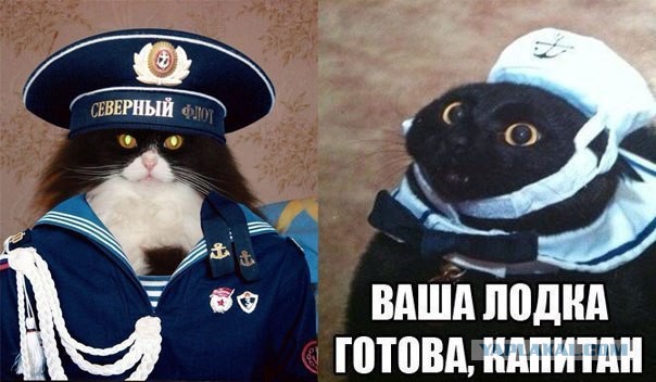 Прикольные картинки из сети