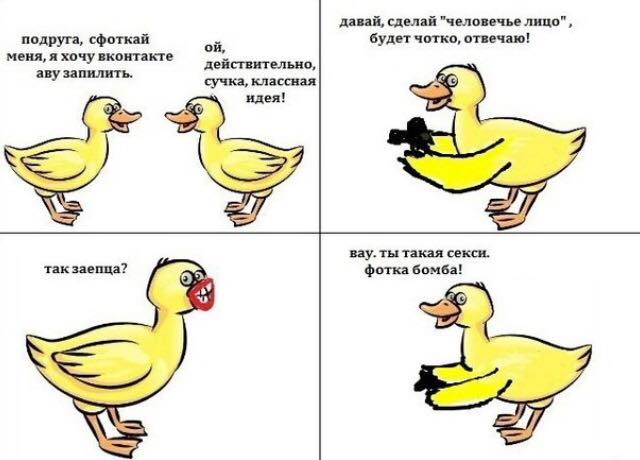 Веселости на пятницу