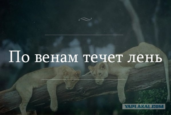 Просто картинки