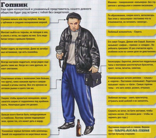 Понторезы