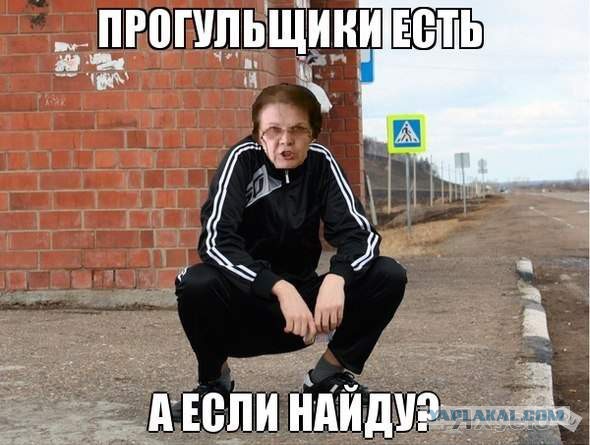 Подборка картинок из соцсетей
