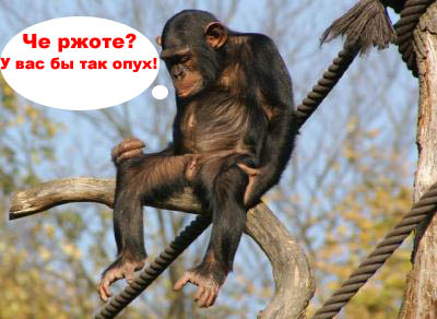 Грустный самец