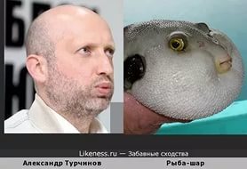 Бывают в жизни совпадения