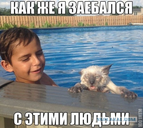 Подборка картинок из сети