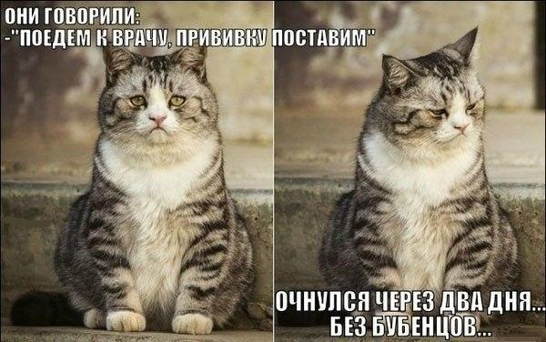 Картинки на пятницу