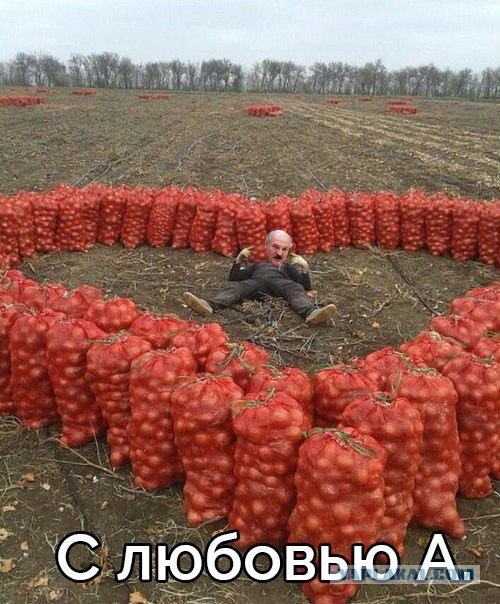 Новая подборка картинок