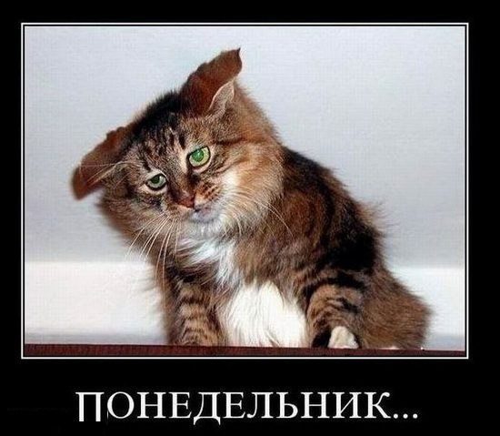 Смешные картинки