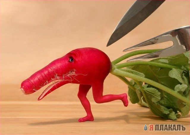Эта сексуальная природа. РАСТЕНИЯ, ПЕЙЗАЖИ