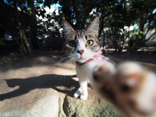 Картиночки из этих...ваших.....