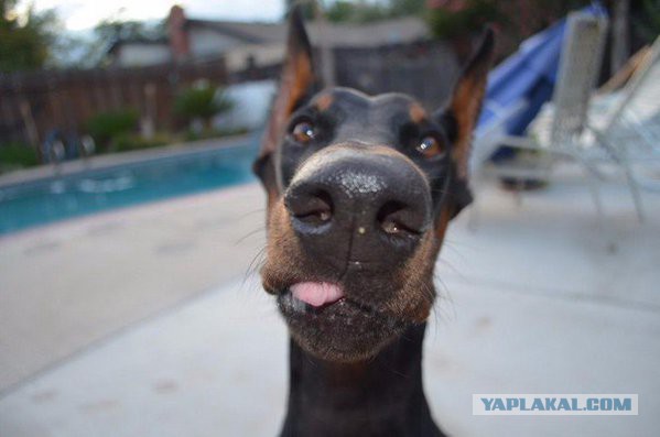 Больше, чем фото