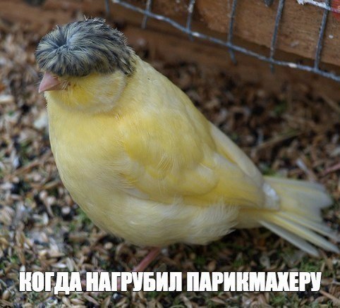 Картинки из сети, подборка на пятницу.