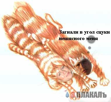Художественный факультет КПМ