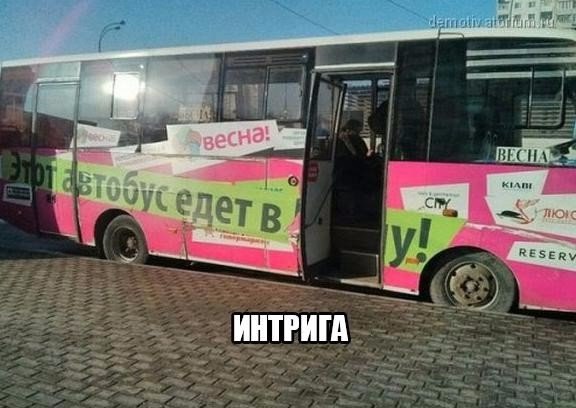 Забавные картинки из сети