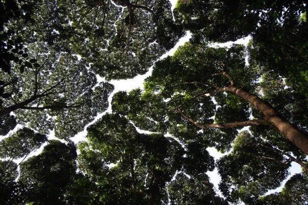 Интересные и веселые картинки