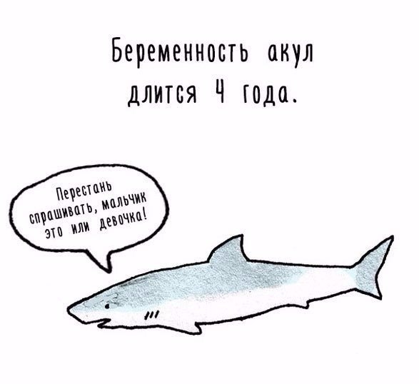 Подборка интересных и смешных картинок